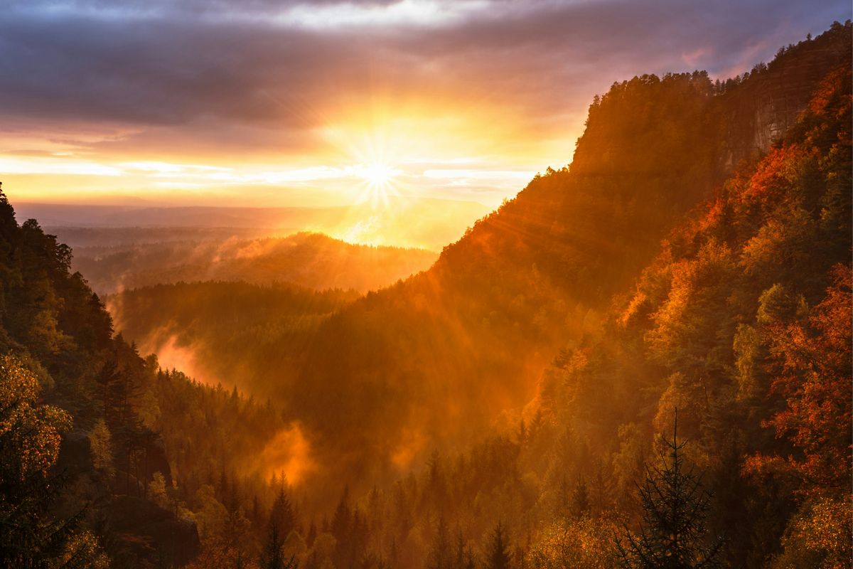 Sonnenuntergang in bergiger Waldregion